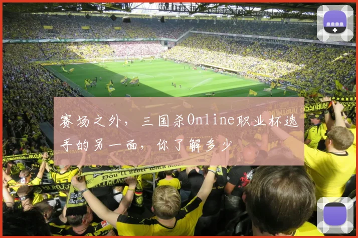 赛场之外，三国杀Online职业杯选手的另一面，你了解多少