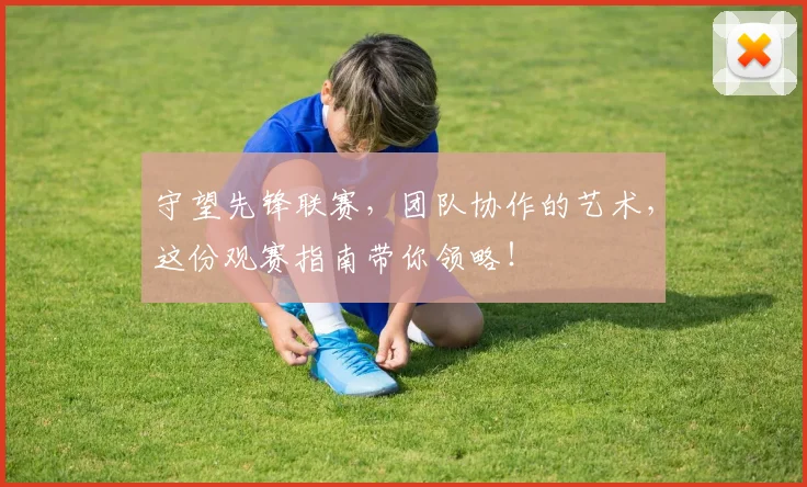 守望先锋联赛，团队协作的艺术，这份观赛指南带你领略！