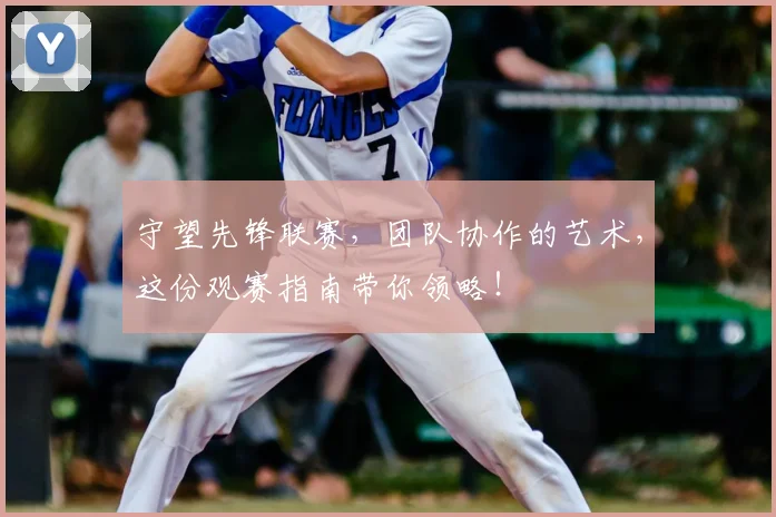 守望先锋联赛，团队协作的艺术，这份观赛指南带你领略！