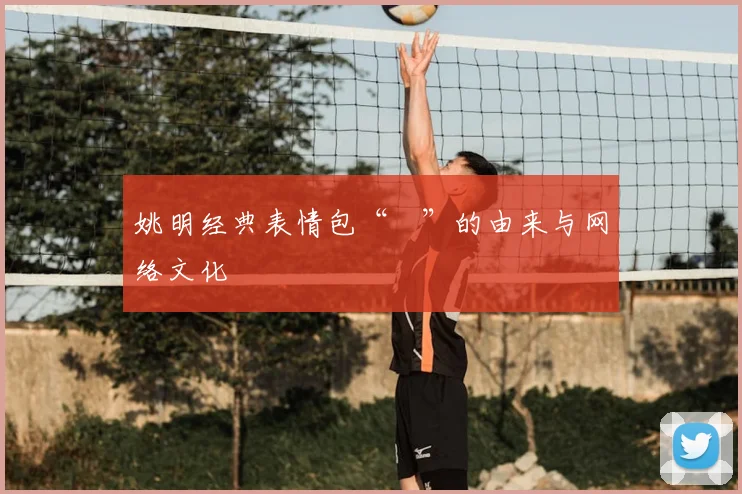 姚明经典表情包“囧”的由来与网络文化